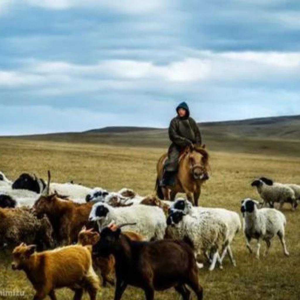 Photo credits: WHO / Yoshi Shimizu